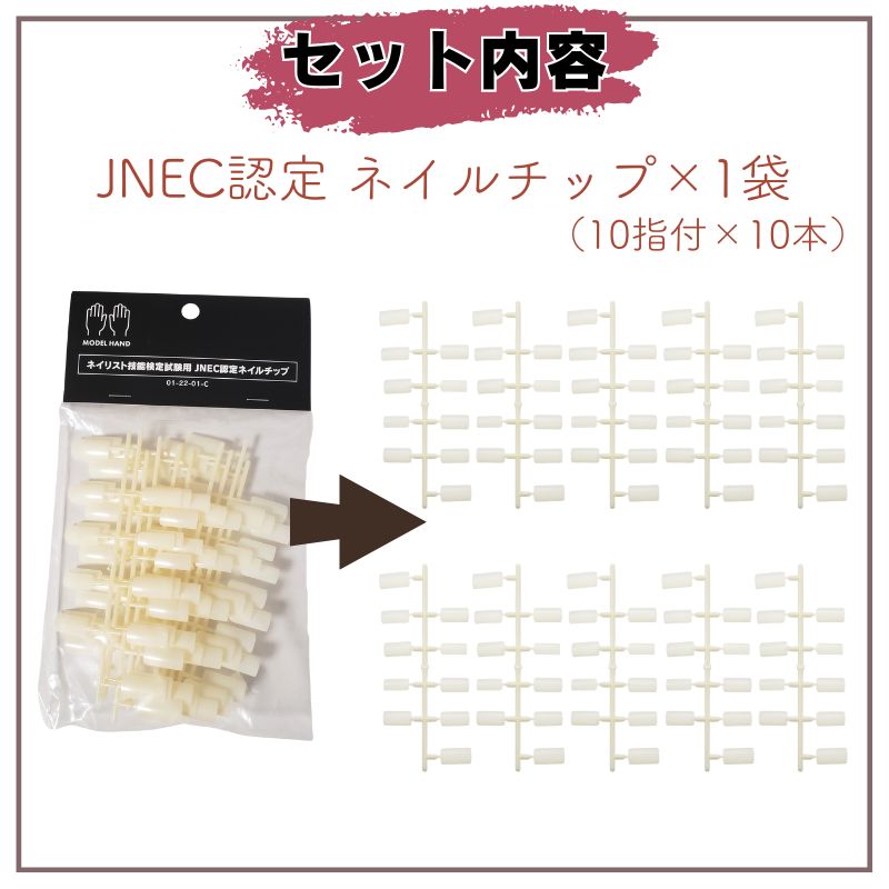 滝川（TAKIGAWA） JNEC認定ハンド用 ネイルチップ＆ルース