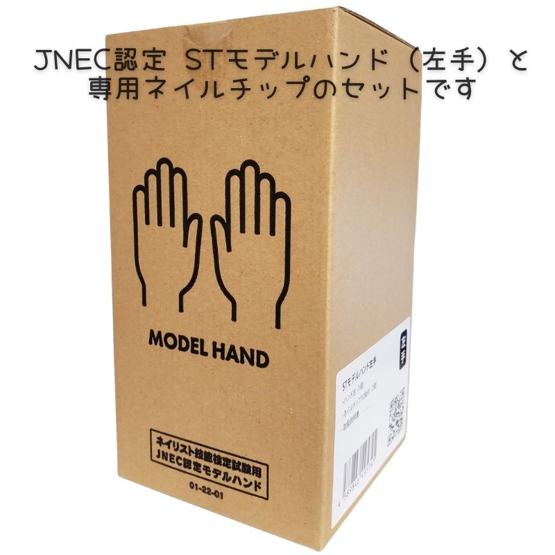 滝川（TAKIGAWA） JNEC認定ハンド STモデルハンド 左手 ネイルチップ