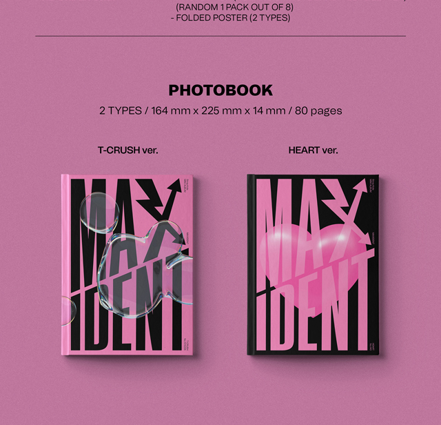 安心の日本国内発送 MAXIDENT HEART ver. 通常盤 Stray Kids straykids