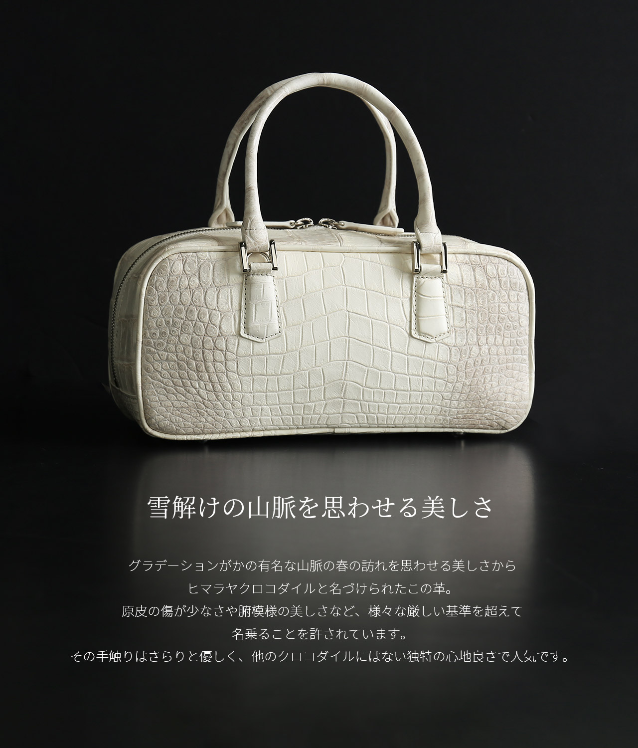 sankyo shokai（三京商会） ＜爆買＞ヒマラヤクロコダイル ミニ