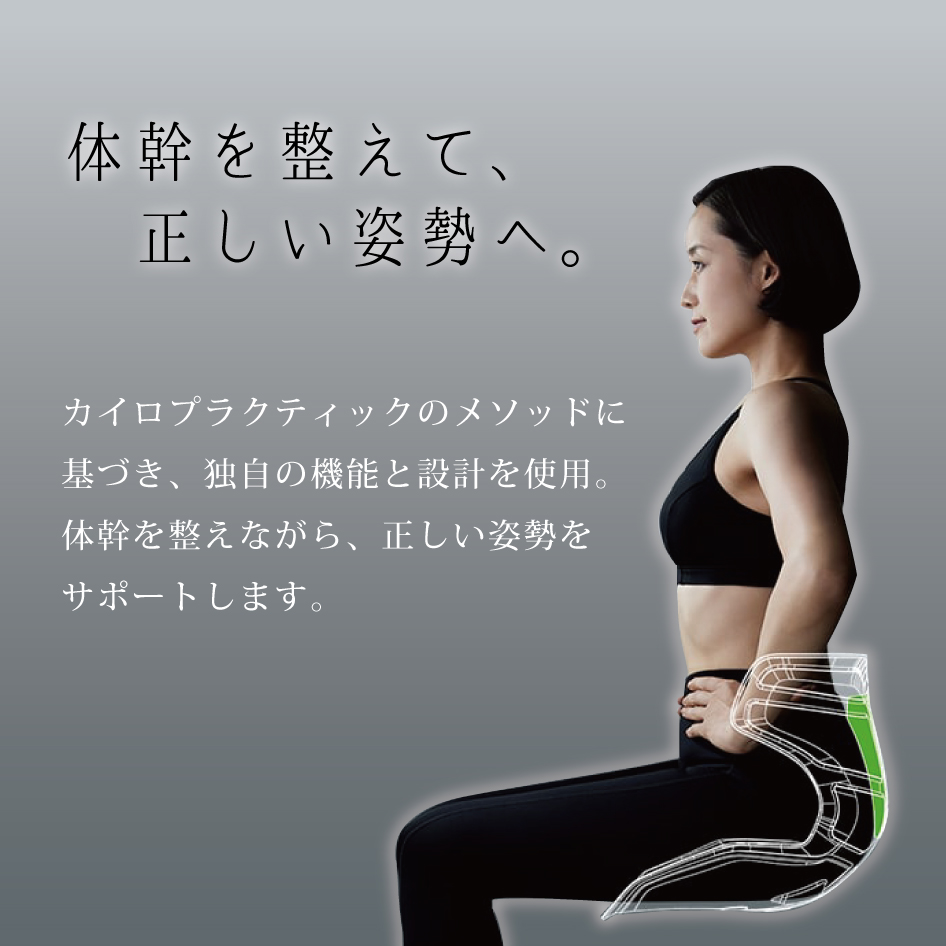 Style（スタイル） 姿勢ケアシート Style Athlete2 MTG アスリートツー