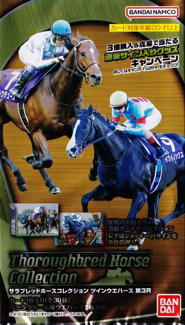 高橋慶帆】バレーボール 男子日本代表 2025【直筆サインカード/A] 63枚