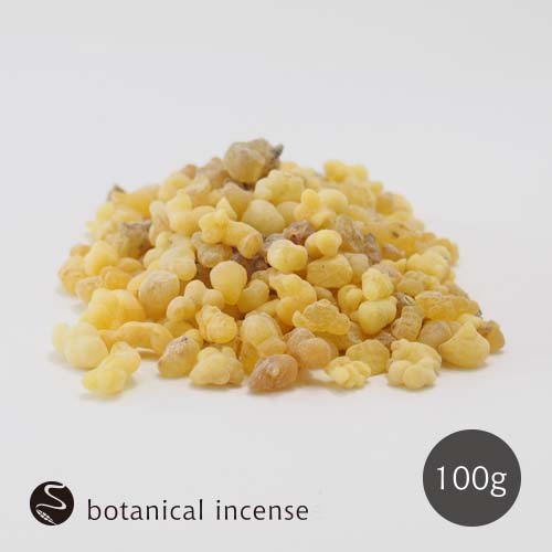 フランキンセンス エチオピア産 乳香 お香 100g MUKUボタニカルイン