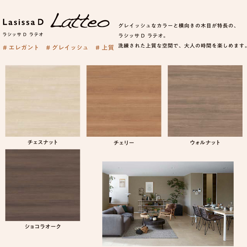 ラシッサ ラシッサDヴィンティア アウトセット片引戸標準タイプ LGH