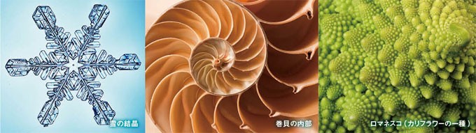 フォトニック フラクタル イマジン : 健康な髪ドットコム - 通販