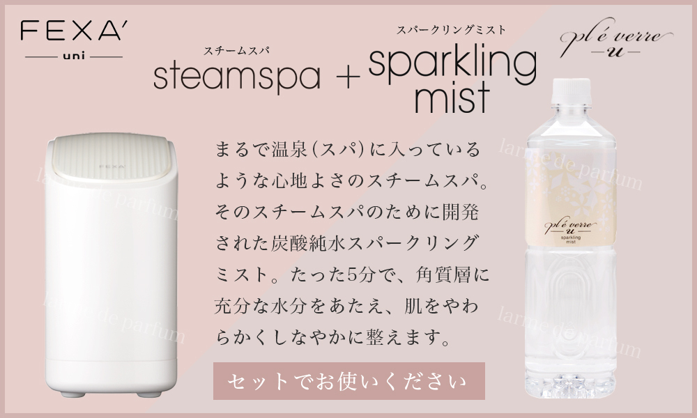 10本セット】【ホメオスタイル公認ストア】 スチーマー用炭酸純水 美顔