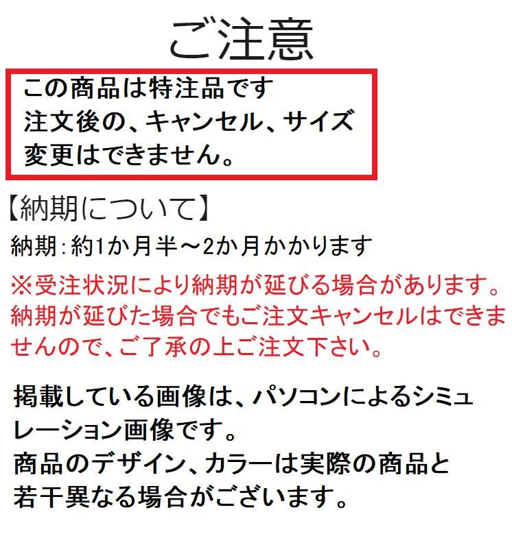 MIZUNO（ミズノ） ボクシングシューズ イージースペクトラ 60