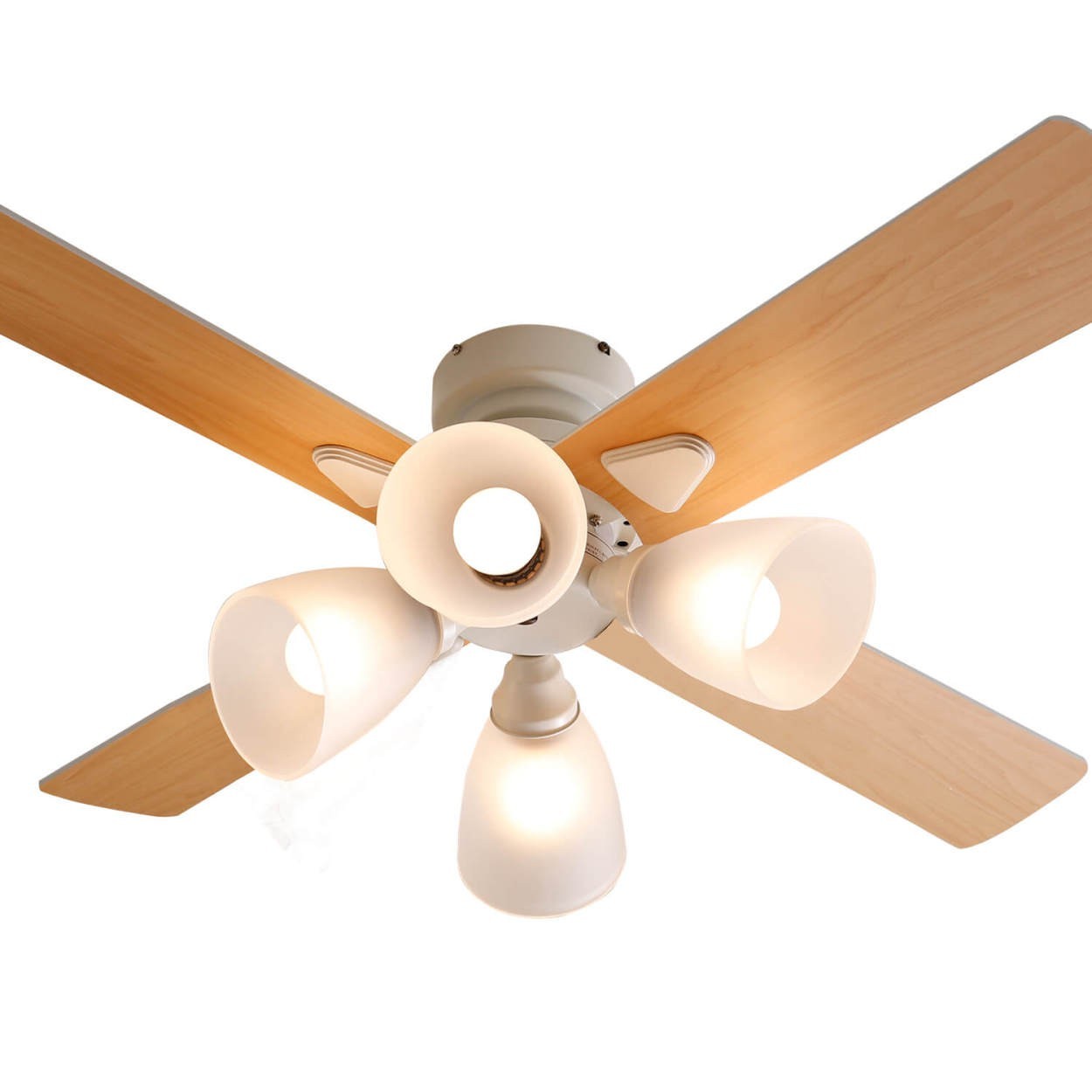 fc03-g1018-100_whna.jpg?size=n