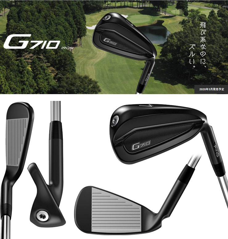 PING（ピン） G710 アイアン ALTA DISTANZA BLACK 40 カーボンシャフト