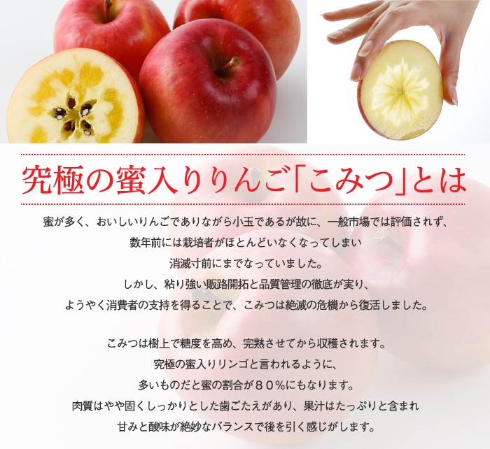 りんご こみつ 秀品 6〜13玉 2kg 究極の蜜入りりんご 青森県産 JA津軽