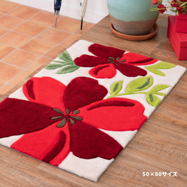 HAGiHARA（萩原） 玄関マット 室内マット 玄関 室内 マット 50×80cm