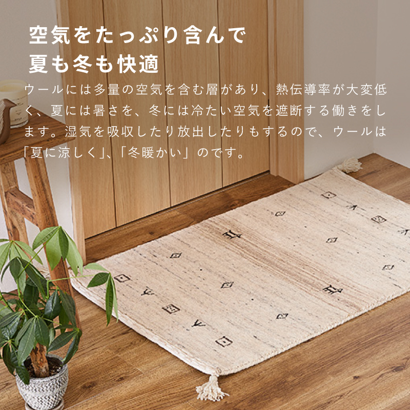 HAGiHARA（萩原） ギャベ ギャッベ 玄関マット 室内マット マット 45