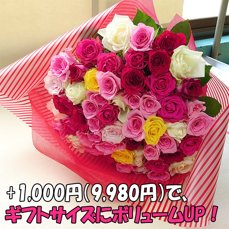 バラ 花束 50本 カラフルミックス カジュアルサイズ お祝い 誕生日