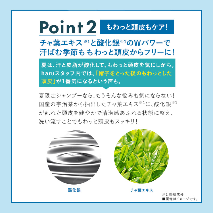 haru（ハル） 期間限定 再登場 【25％OFF】 シャンプー kurokami