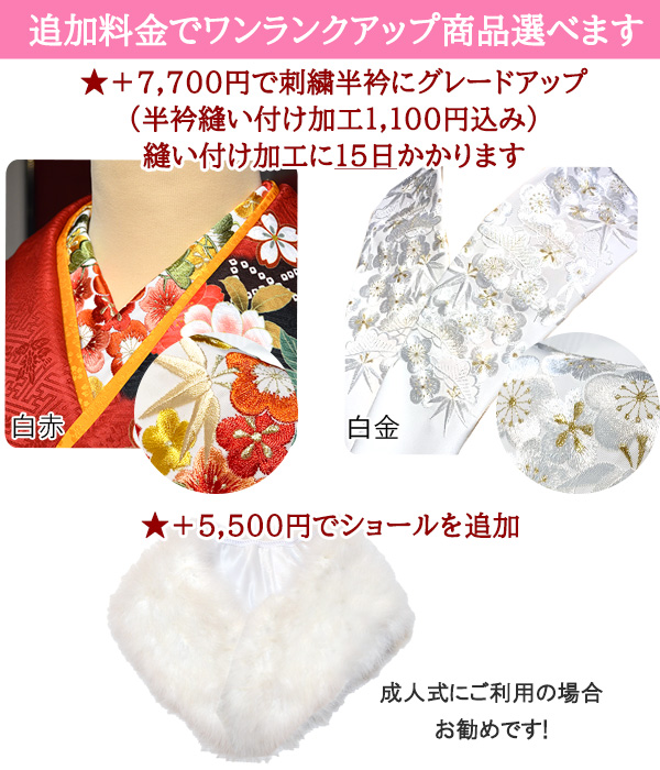 手描き 辻が花 京友禅 正絹 振袖 30点 セット 赤 成人式 ふりそで 袋帯