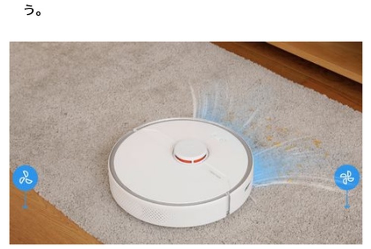 Roborock S6Pure ロボット掃除機 S6P02-04 : ひかりTVショッピング