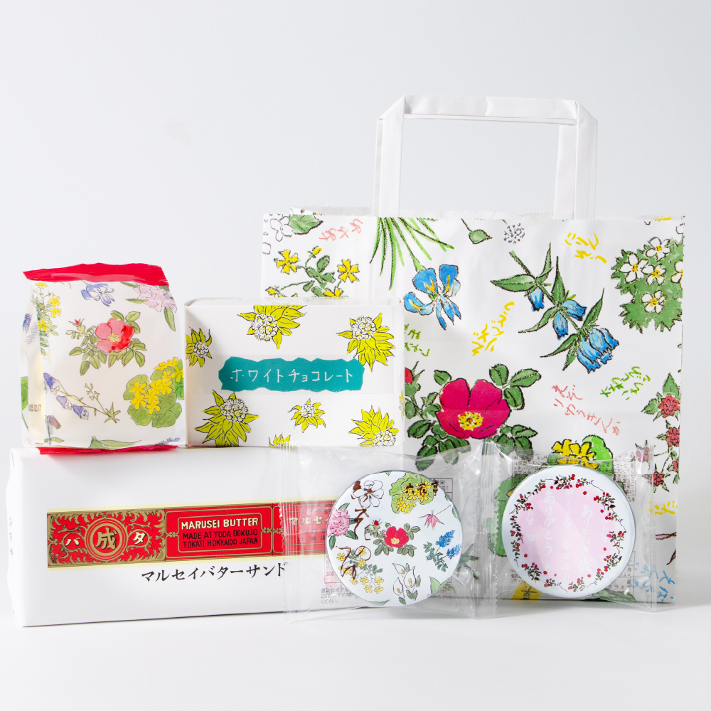 六花亭 詰め合わせ 5種セット 送料込 北海道 お土産 定番 ギフト