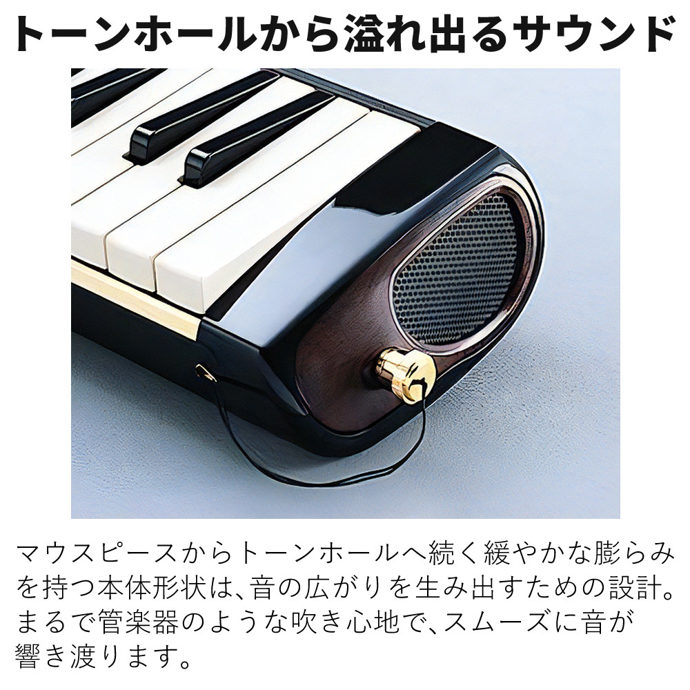 アイオン スズキ 鍵盤ハーモニカ メロディオン アルト PRO-37v3 専用