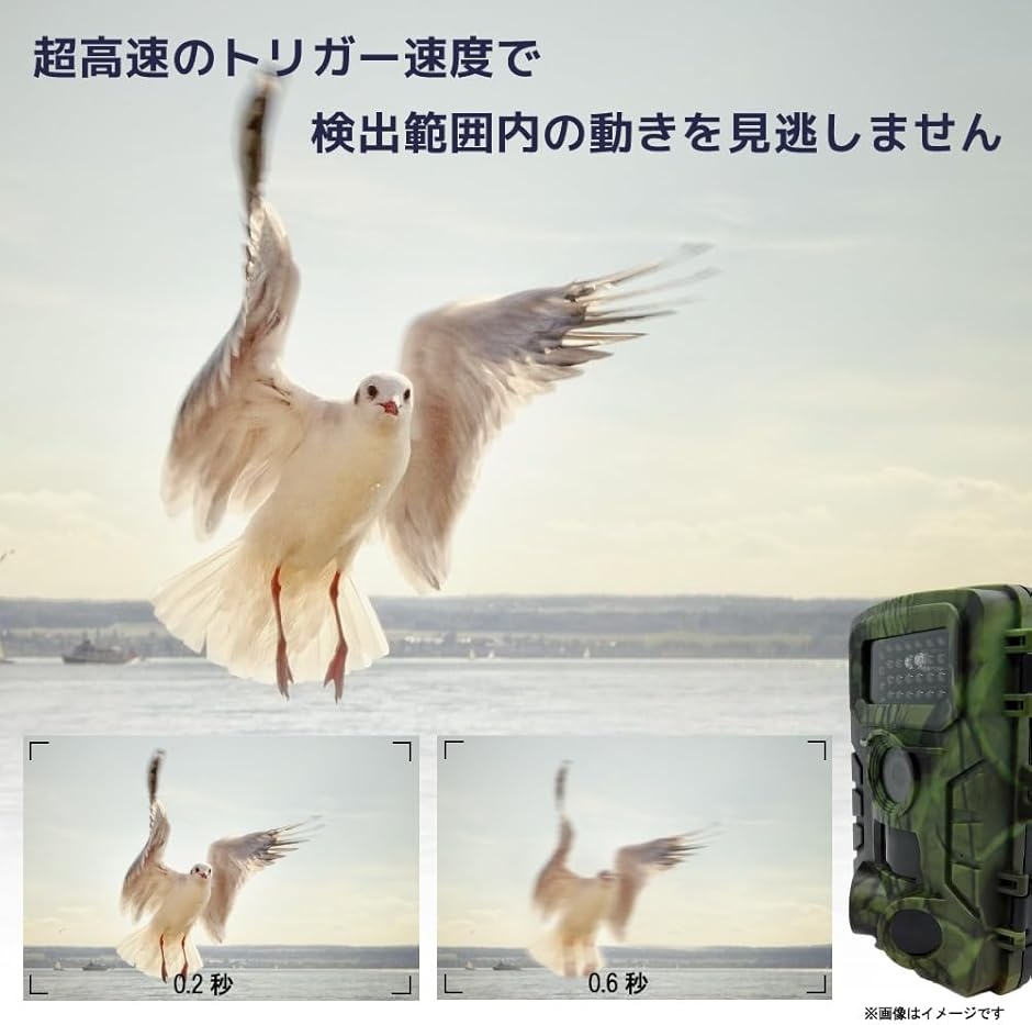 トレイルカメラ 5800万画素 防犯カメラ 屋外 小型 防水 IP66 赤外線 人