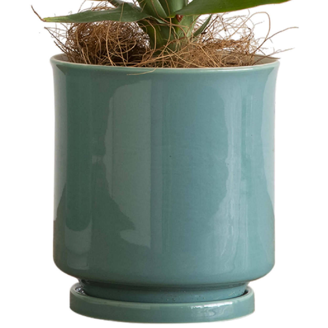 最短当日発送】 日本製 植木鉢 受け皿付 10.5x11.5cm 3.5号 4号 波佐見