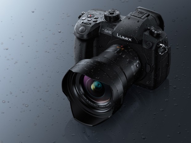 Panasonic（パナソニック） LEICA DG VARIO-ELMARIT 8-18mm/F2.8-4.0