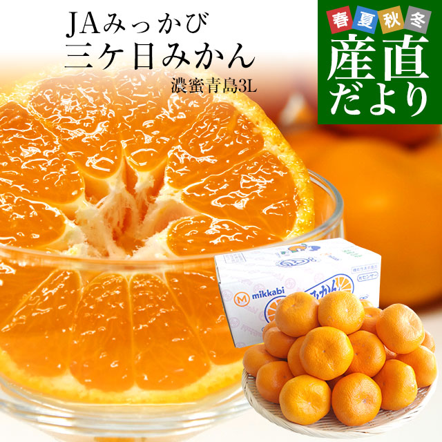 静岡県産 JAみっかび 三ヶ日みかん 濃密青島 3Lサイズ 優品以上 約3.5