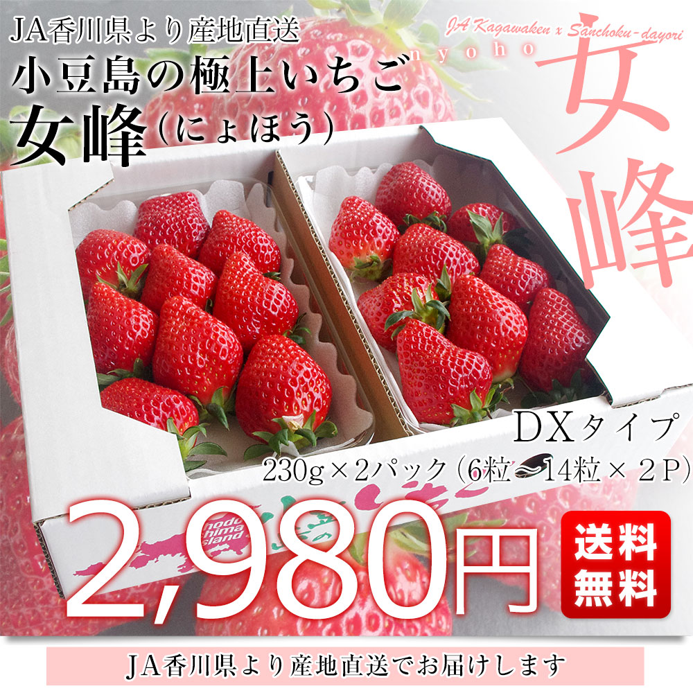香川県より産地直送 女峰いちご DXタイプ 460g (230g×2P：6粒から14粒