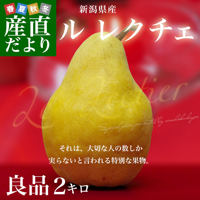 新潟県産 ル レクチェ ご家庭用（良品） 2キロ(4玉から8玉) 洋ナシ