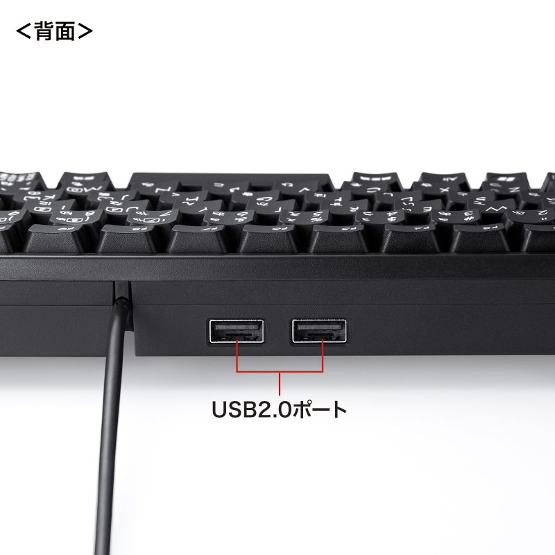 SANWA SUPPLY（サンワサプライ） キーボード 有線 USB A USBキーボード