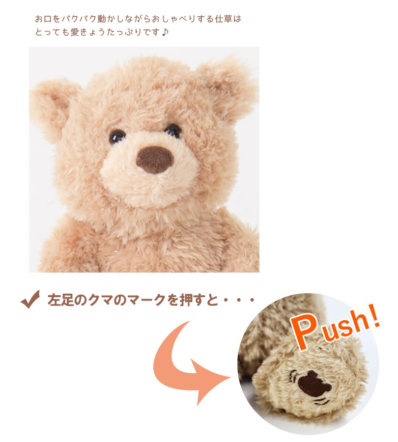 GUND ピーカーブーベア 英語版 6053525 テディベア クマ ぬいぐるみ