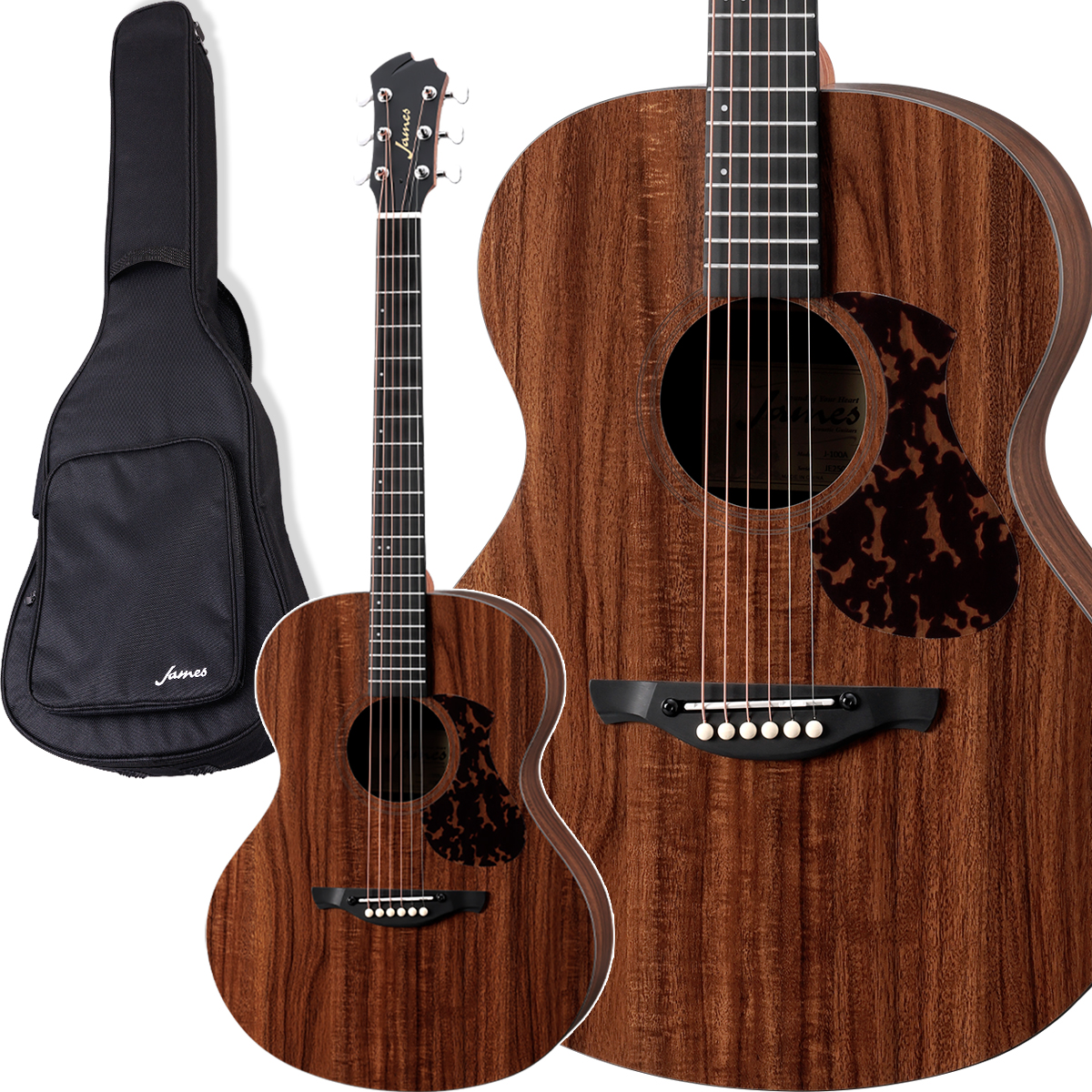 ジェームス（James） J-100A アコースティックギター ギグケース付属