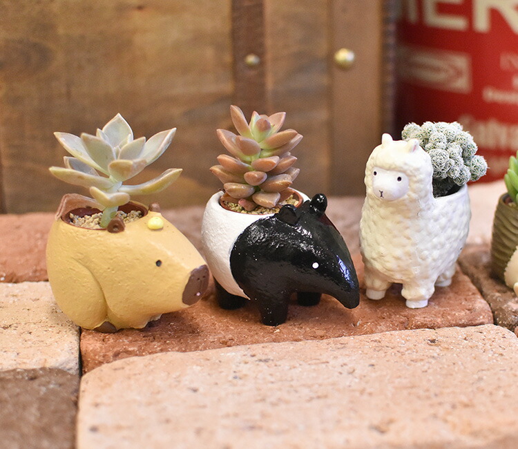 1寸用 プランター リトルレジンポット 珍獣シリーズ : SORACIEL - 通販