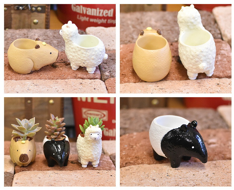 1寸用 プランター リトルレジンポット 珍獣シリーズ : SORACIEL - 通販