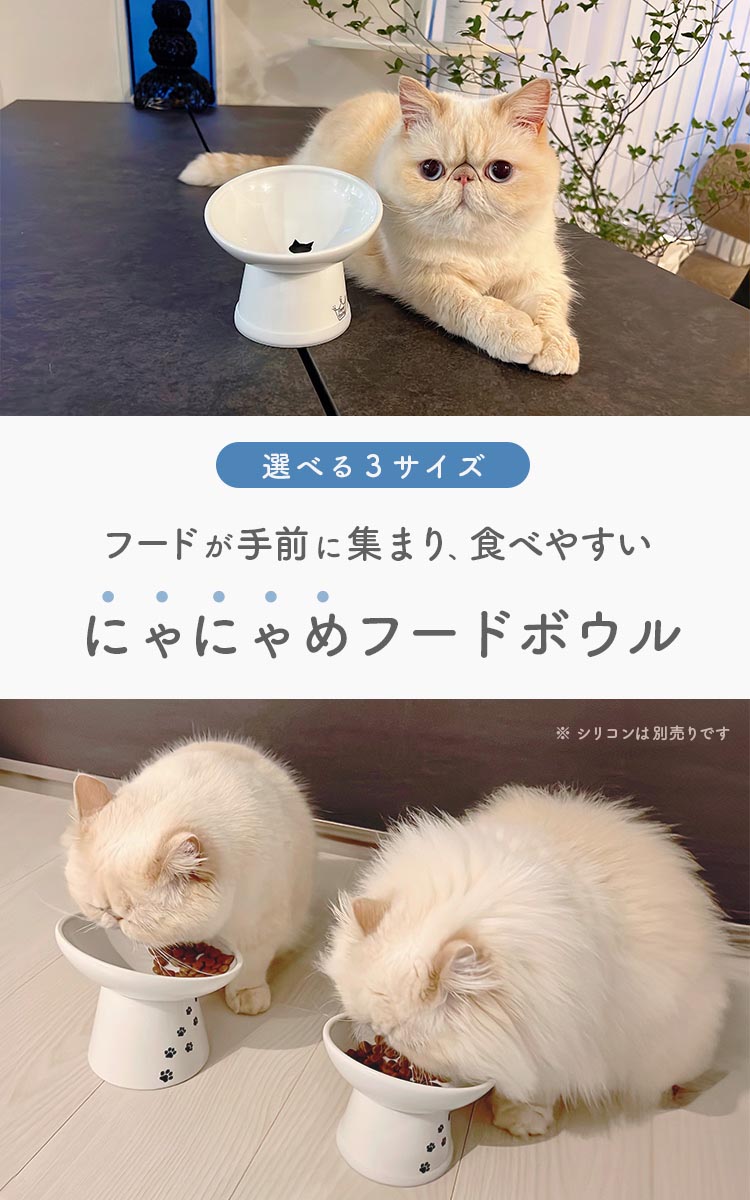 猫用 脚付にゃにゃめフードボウル ハイタイプ ( 1個 )/ 猫壱 : 爽快