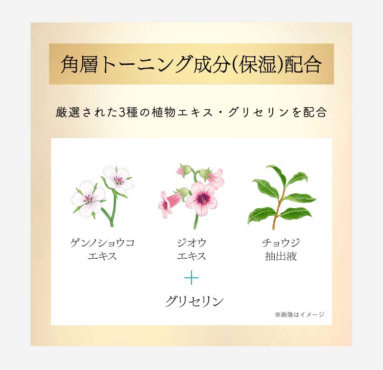 ソフィーナ iP 薬用 角層トーニングセラム ( 30ml )/ ソフィーナiP