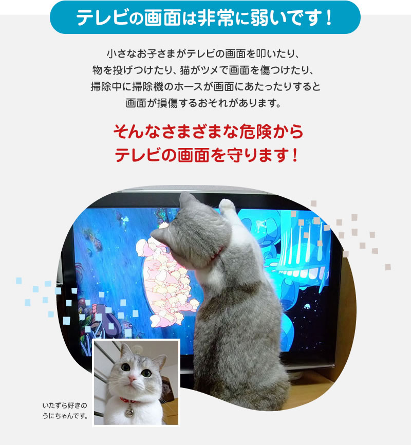 アンチグレア ブルーライトカット 液晶テレビ保護パネル ノングレア 55