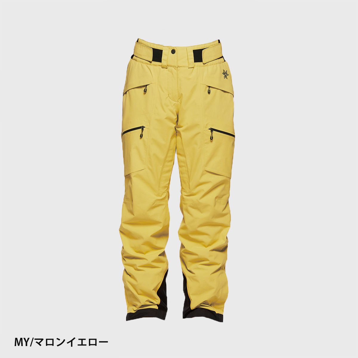 GOLDWIN（ゴールドウイン） スキーウェア スキーパンツ レディース