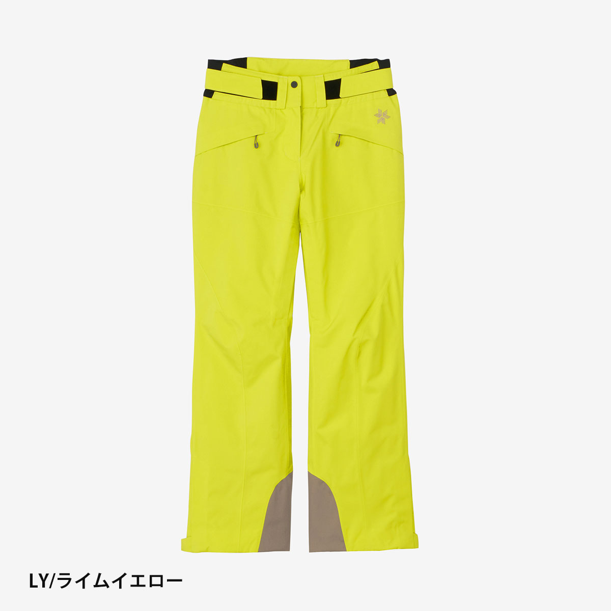 GOLDWIN（ゴールドウイン） 【エントリーでP最大17倍！27日〜】スキー