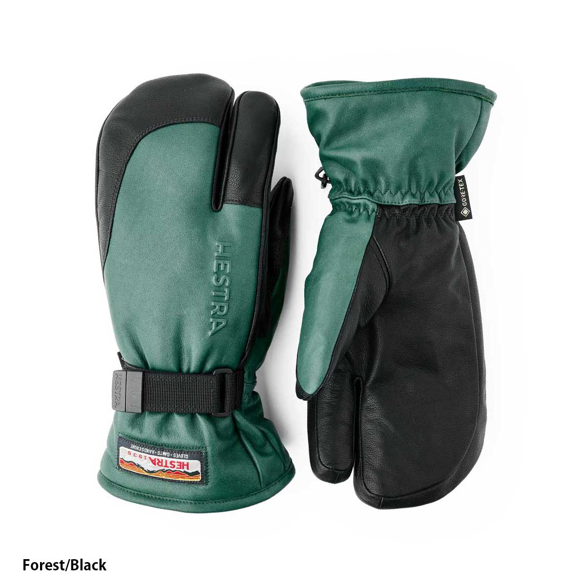 HESTRA（ヘストラ） 【エントリーでP最大17倍！1日まで】HESTRA スキー