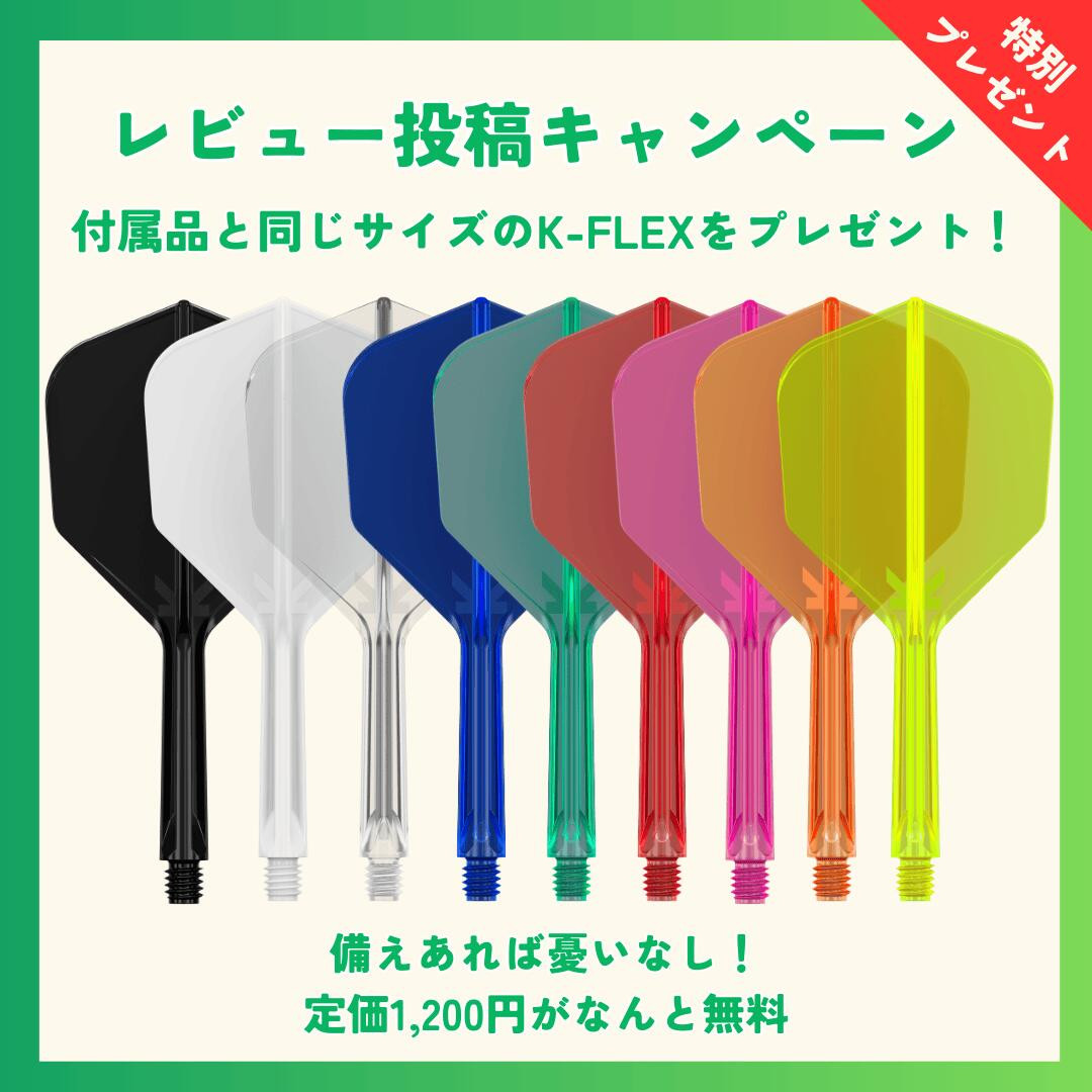 Target（ターゲット） 初心者向けダーツセット 世界シェアトップ 『NEO