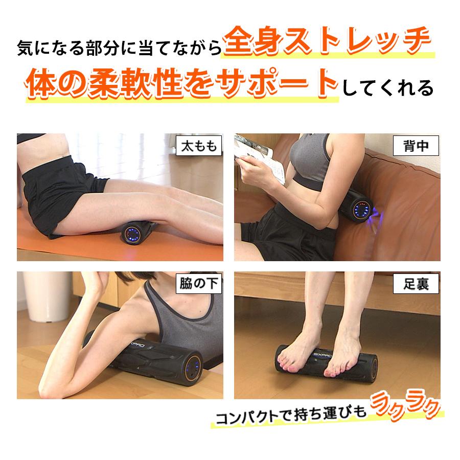 SIXPAD パワーローラーエス / MTG シックスパッド Power Roller S 2603