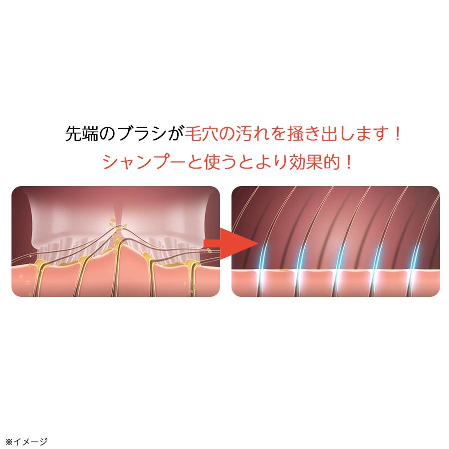 クリアージュ スカルプ エステ リフト / 頭皮 顔 ケア 髪 ボリューム
