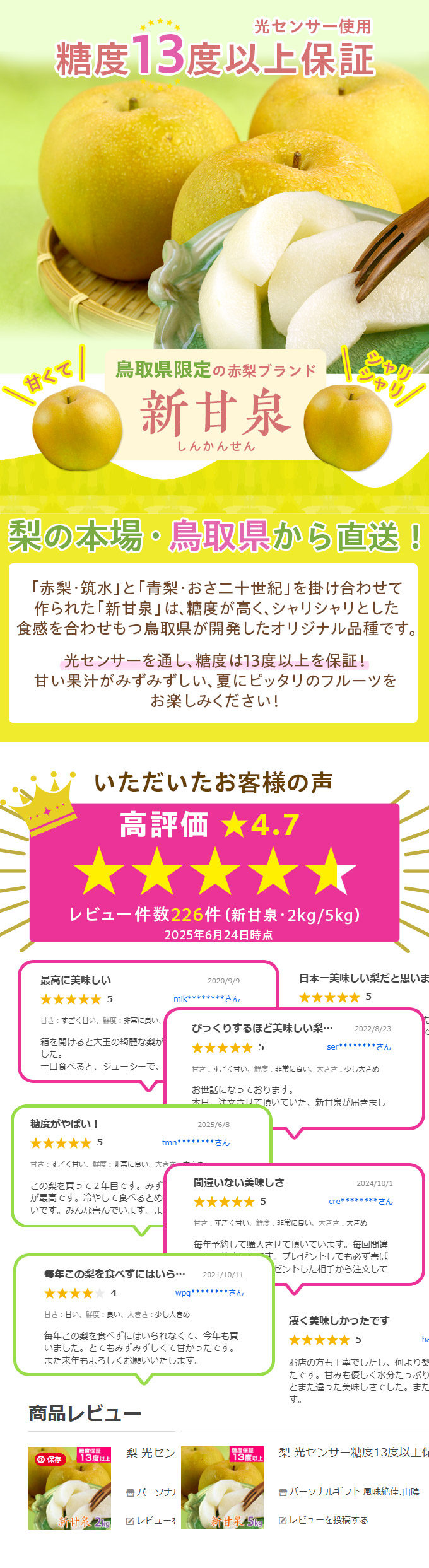 風味絶佳 梨 光センサー糖度13度以上保証 新甘泉（しんかんせん） 5kg