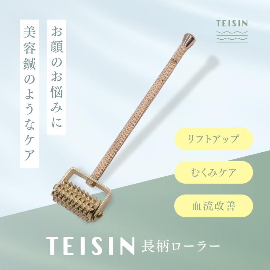 トワテック 【2個セット】TEISIN 長柄ローラー（2WAY）ローラー鍼 鍼灸