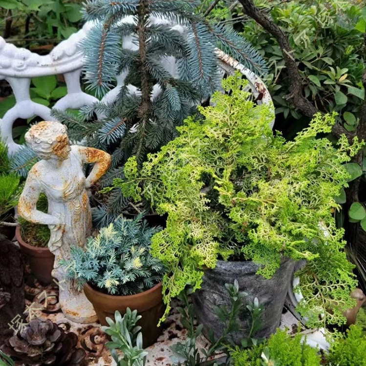 女神像 置物 ガーデンオブジェ インテリア ガーデニング 屋外