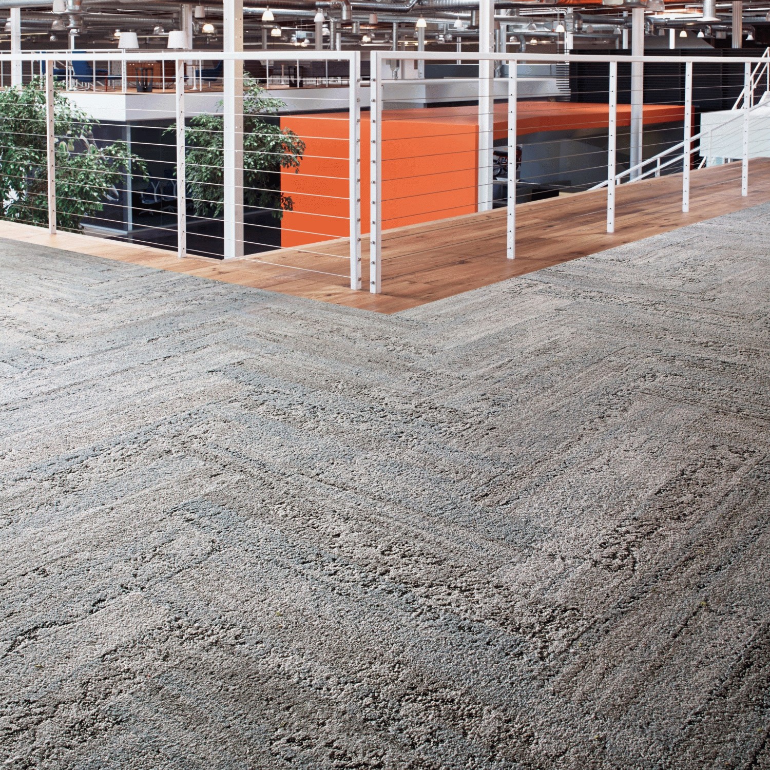 ヒューマン・ネイチャーコレクション/HN810 Interface