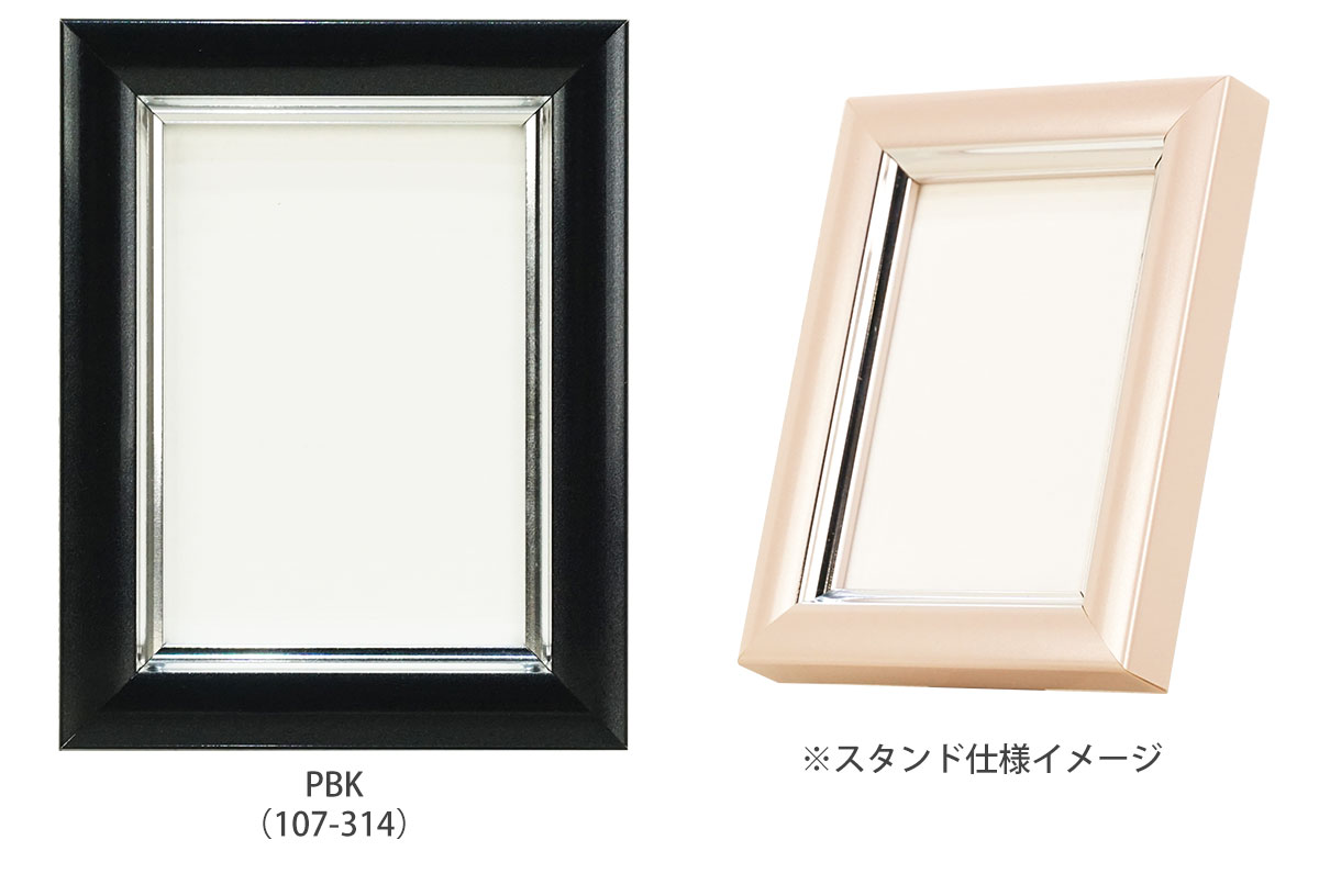 万丈（VANJOH） メール便配送 Vカラー肖像額 Lハーフ 63x89mm 面材