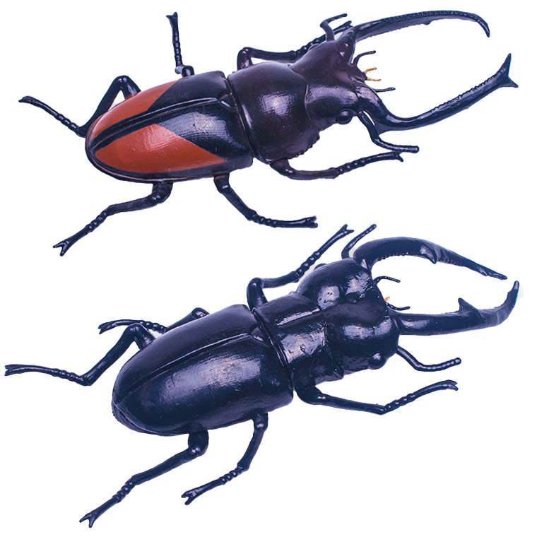 カブトムシ クワガタ 昆虫 セット 甲虫 大きい リアル おもちゃ、昆虫