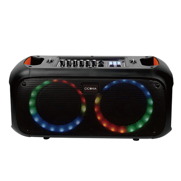 CICONIA（チコニア） ワイヤレス マイク スピーカー セット 2本