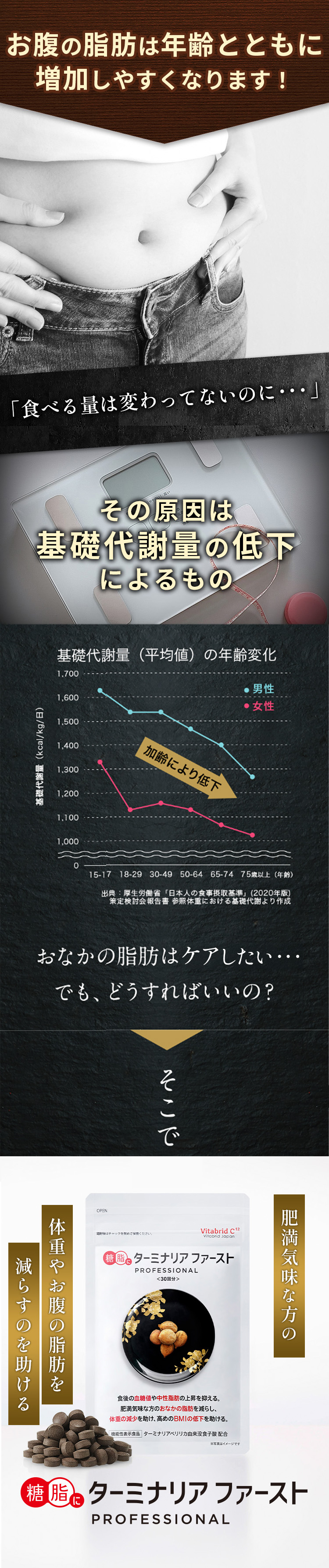 VitabridC 公式 ターミナリアファースト（グルメサプリ）3袋 血糖値 中